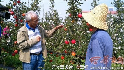 《灿烂千阳》语录摘抄大全