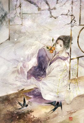 最新的《九国夜雪》小说句子大全