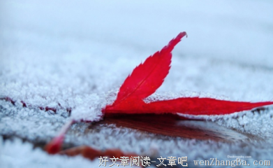 11月再见，冬天你好！