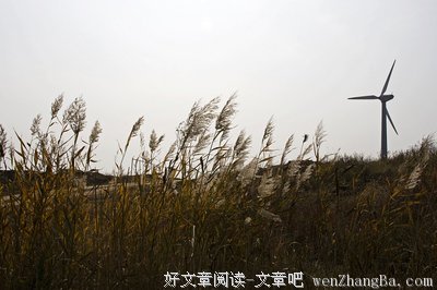 蓝花读后感10篇