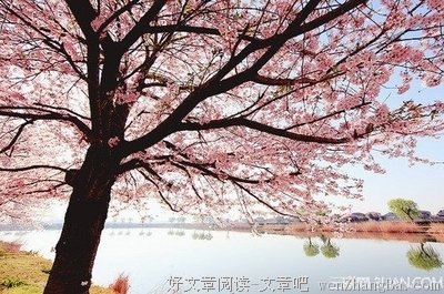 张方宇精彩语录