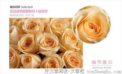 陌上花开 383 一整个宇宙，换一颗红豆