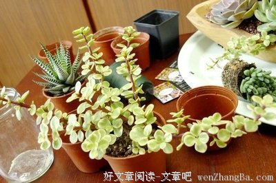 小心轻放的光阴2读后感10篇