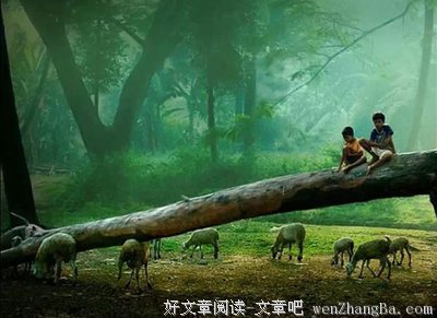 最经典的梦枕獏名言名句