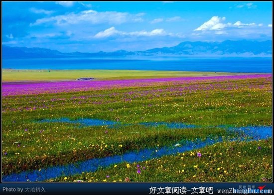 王谢的语句摘抄_关于王谢的语句