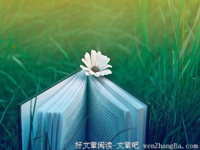 描写扁扁的语句摘抄