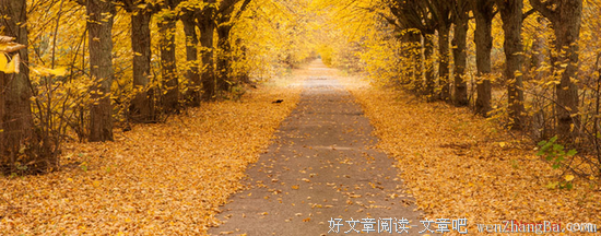 《一粒红尘》经典的句子大全