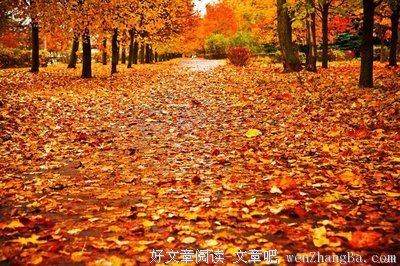最新的《芳草无情》好段摘抄