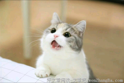 一个人可以无耻到什么地步？