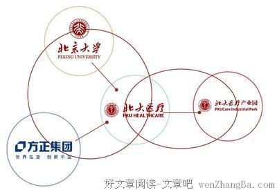 《迷局》的读后感10篇