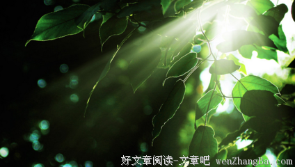关于来路不明的语句
