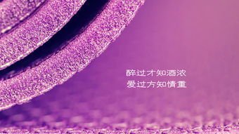 神采奕奕的名言_关于神采奕奕的名言
