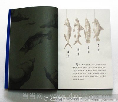 《你的脚步走在你的心上》的读后感10篇