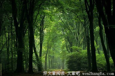 描写听其言的经典句子