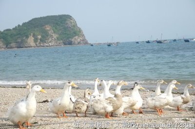 ▷ 年轻只有一次，何必委屈自己