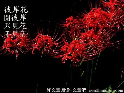 最全的《仙逆》经典句子