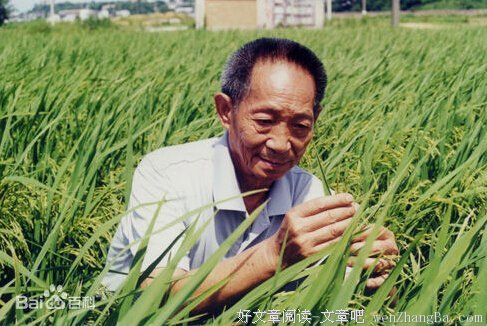 最经典的《德安斯格拉》经典名句