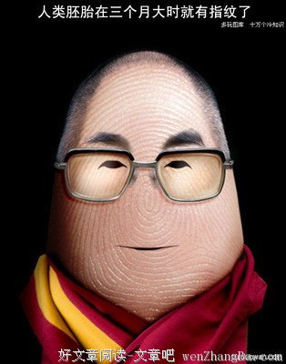十万个冷知识