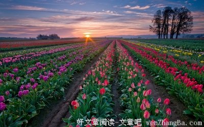 蕾秋·乔伊斯名言大全