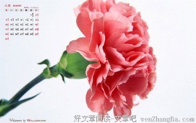 关于素净的语句