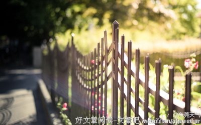 满城风雨的句子
