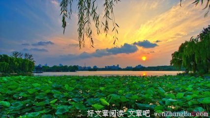 最新的《黄帝内经》佳句摘抄