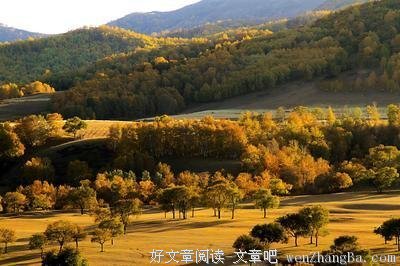 关于林西的座右铭