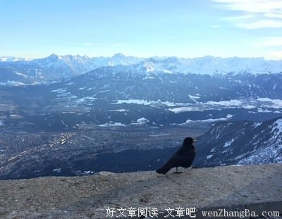 关于布鲁克名言名句