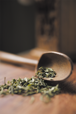 关于禅茶的格言