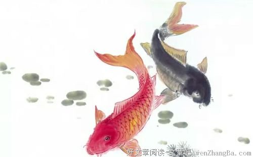 鱼那么信任水， 水却煮了鱼! 