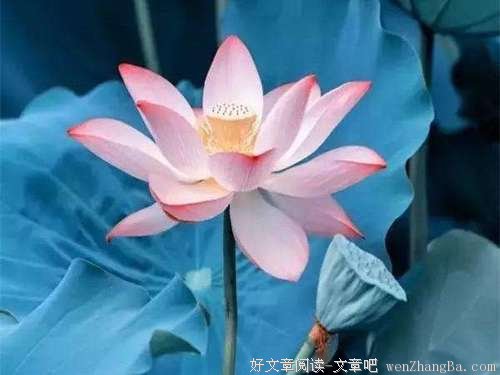 人生四境界，你到哪一重了？