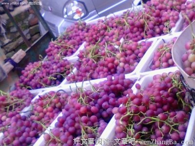 进入十二月