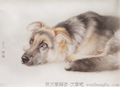 2018年犯太岁的五个生肖！（一定要看）