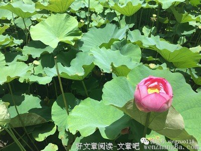 12星座周运势丨（12.04-12.10）