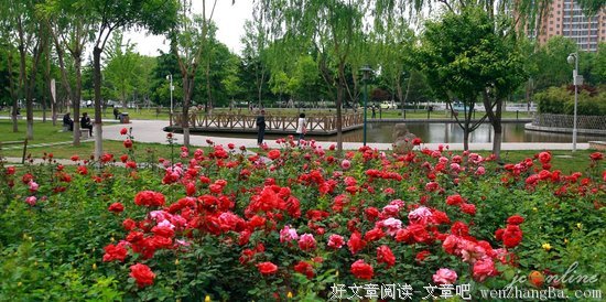 五彩缤纷的语句摘抄_关于五彩缤纷的语句