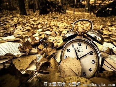 描写聚精会神的经典句子