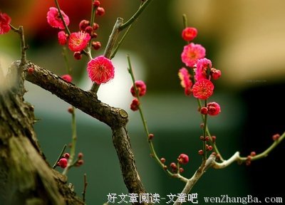 老佛格言警句