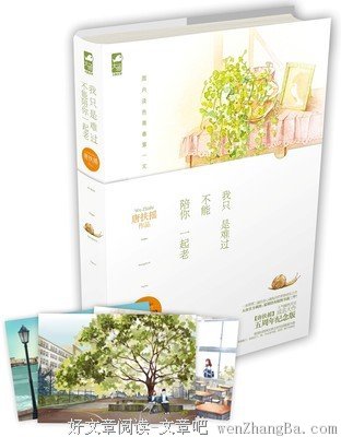 最全的《我只是难过不能陪你一起老》小说摘抄