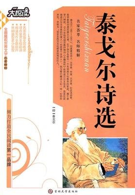 《沉默也会歌唱》佳句摘抄大全