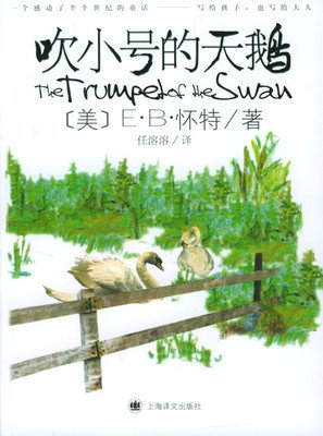 天鹅经典读后感10篇