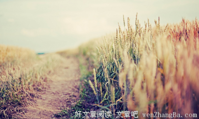 《广岛之恋》的读后感10篇