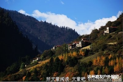 关于若木名言名句