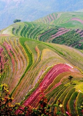 愿你不必取悦任何人读后感精选10篇