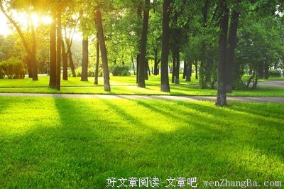 关于绿色植物的座右铭