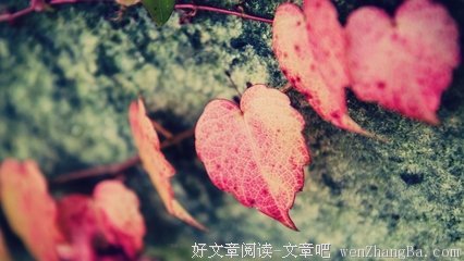关于不利的座右铭