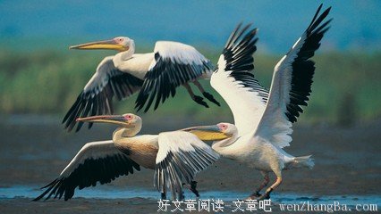 有关气象万千的美句摘抄