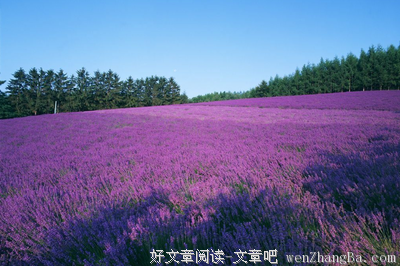 小筑的句子