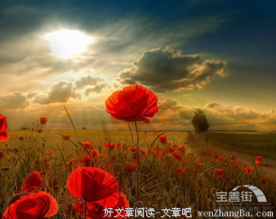 点点光的名句_关于点点光的名句