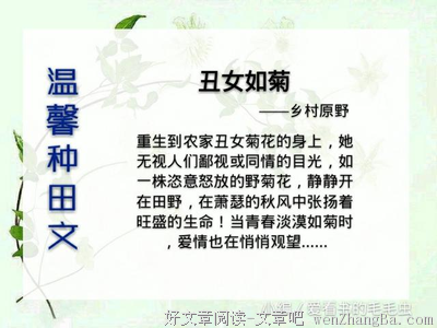 我开始向往细水长流的生活