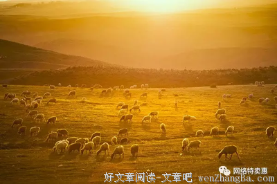 &quot; 成长是把哭声调成静音的过程 &quot;